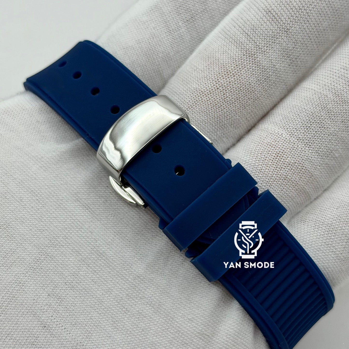 Nautilus Squelette Bleu