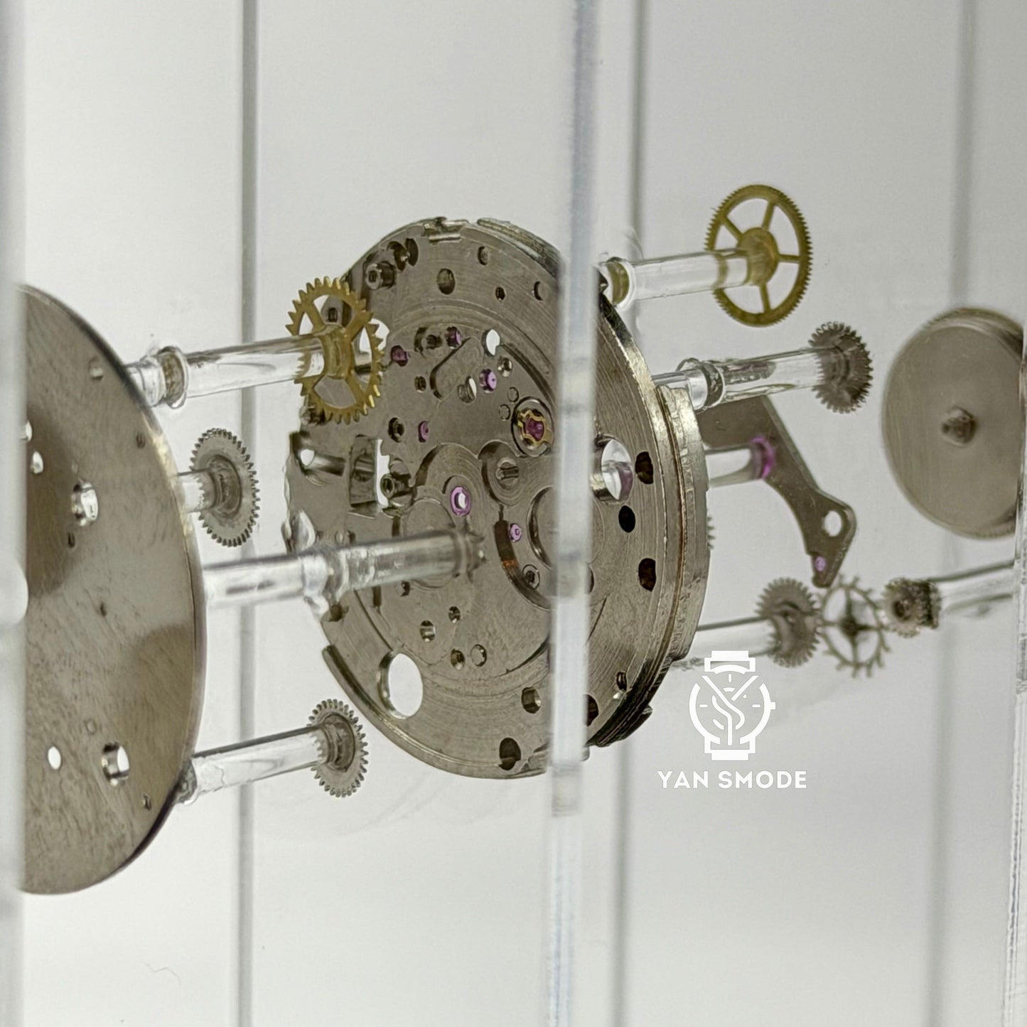 Maquette Daytona Multicolore