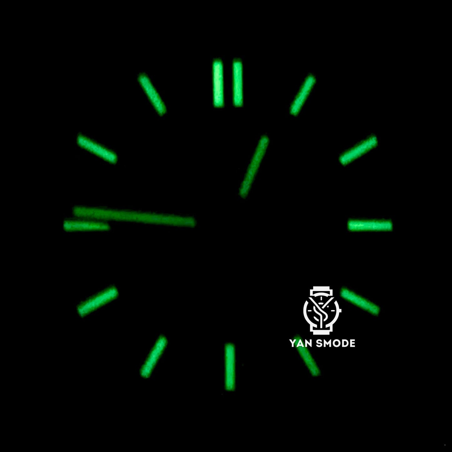 Nautilus Squelette Verte