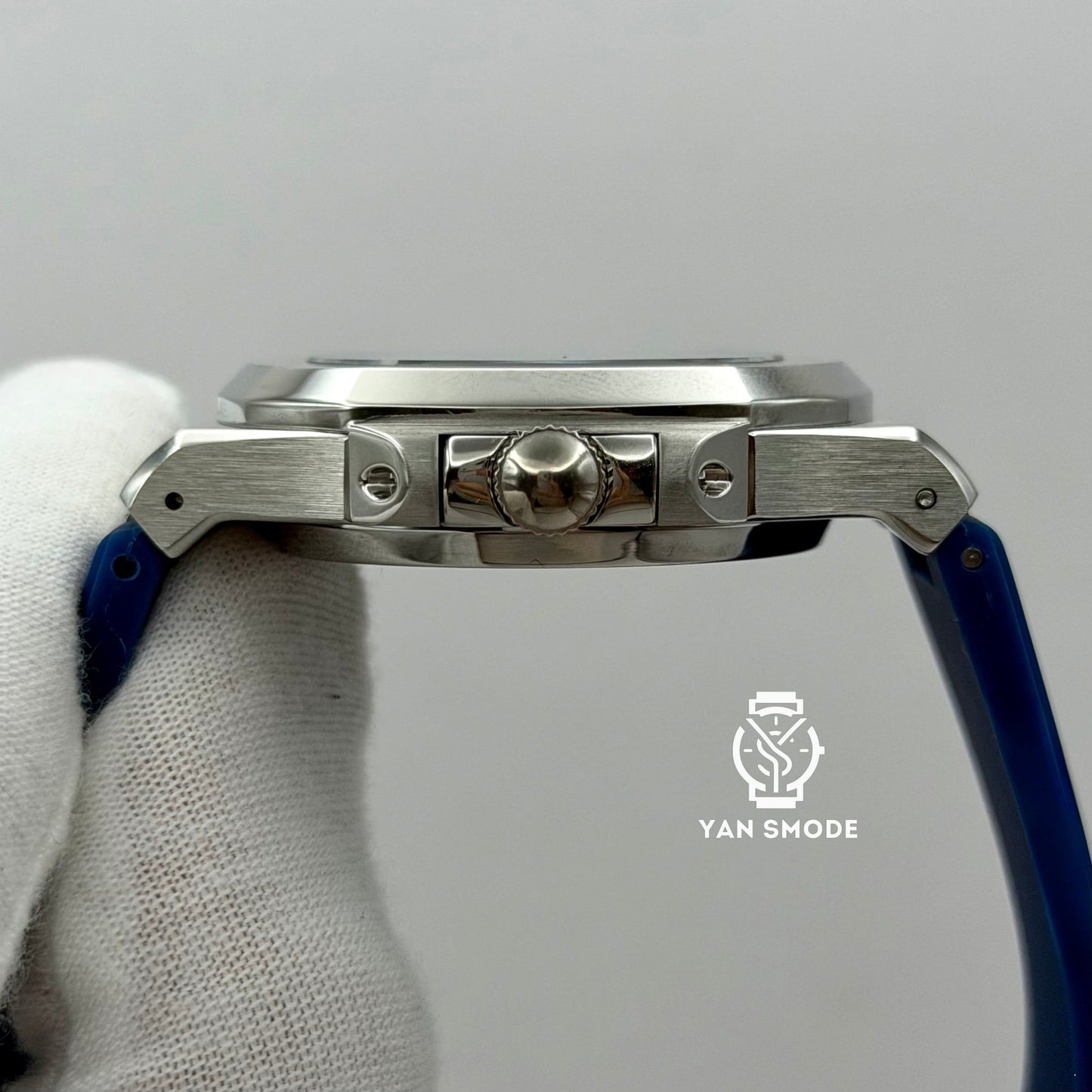 Nautilus Squelette Bleu